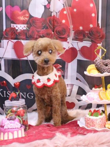 20250216チャタくん